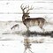 Rustic Misty Deer Poster Print by Ruane Manning - Item # VARPDX17801